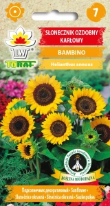 Słonecznik ozdobny karłowy Bambino nasiona 2g Toraf