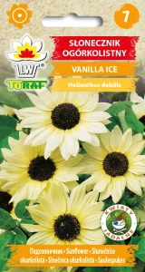 Słonecznik ogórkolistny Vanilla Ice nasiona 0,5g Toraf