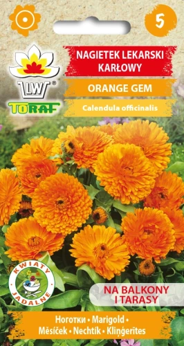 Nagietek-lekarski-karłowy-ORANGE-GEM.webp