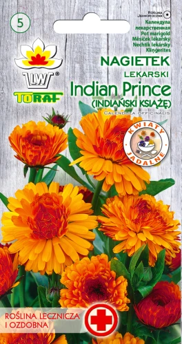 nagietek-Indian-Prince.webp