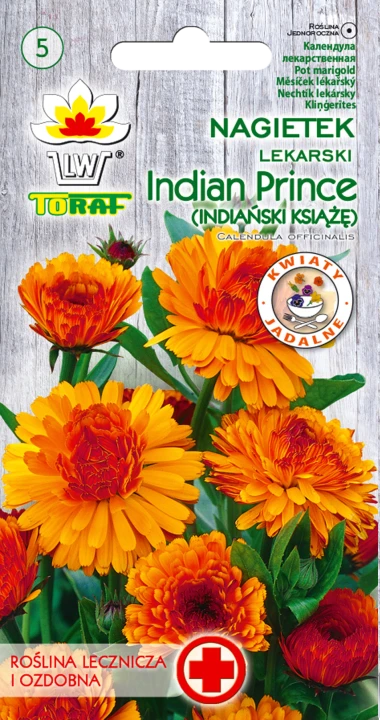 nagietek-Indian-Prince.webp