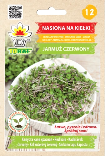 kielki-jarmuz.webp
