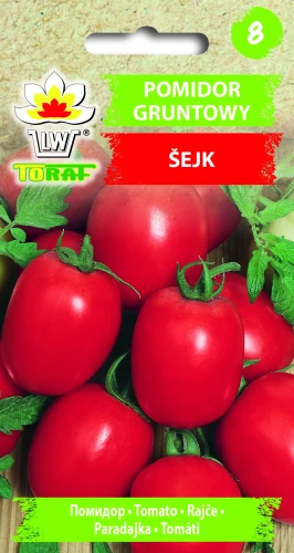 Pomidor-SEJK.webp