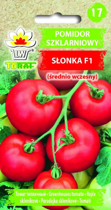 Pomidor-SŁONKA.webp