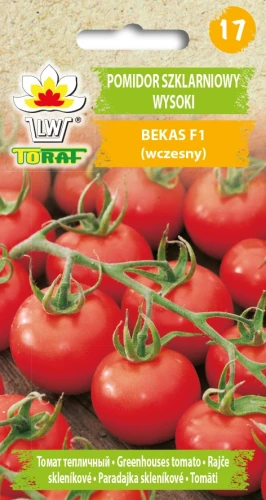 POMIDOR-BEKAS.webp