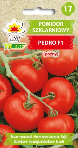 Pomidor-PEDRO.webp