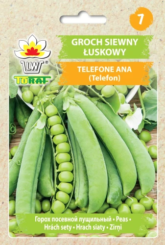 Groch-TELEFONE-ANA.webp