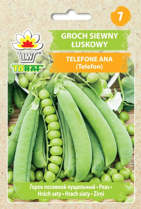 Groch-TELEFONE-ANA.webp