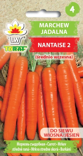 Marchew-jadalna-NANTAISE-2.webp