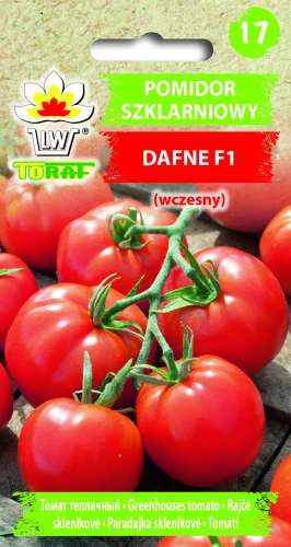 Pomidor-szklarniowy-DAFNE.webp