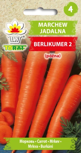 Marchew-BERLIKUMER-2.webp