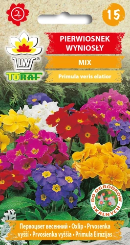 Pierwiosnek-wyniosły-MIX.webp
