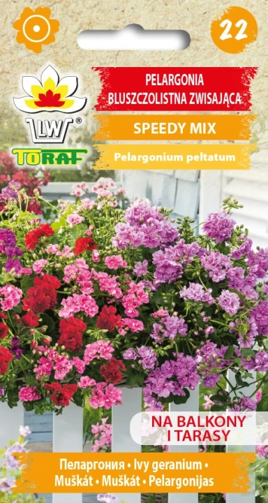 Pelargonia-bluszczolistna-zwisająca-SPEEDY-MIXED.webp
