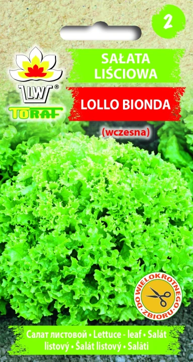 Sałata-LOLLO-BIONDA.webp