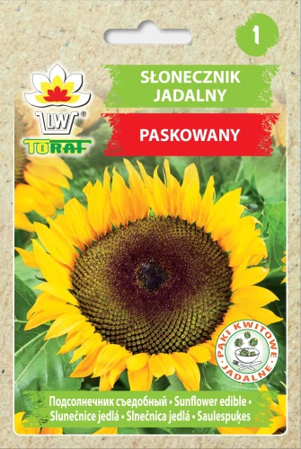Słonecznik-jadalny-paskowany.webp