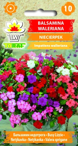 Balsamina-waleriana.webp