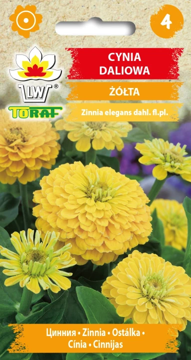 Cynia-daliowa-ŻÓŁTA.webp