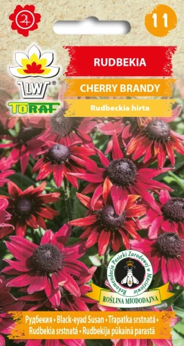 Rudbekia-CHERRY-BRANDY.webp