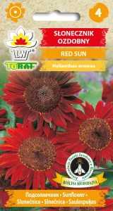 Słonecznik ozdobny czerwony Red Sun nasiona 2g Toraf