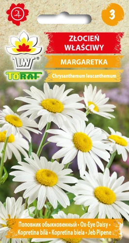 Złocień-właściwy-MARGARETKA.webp