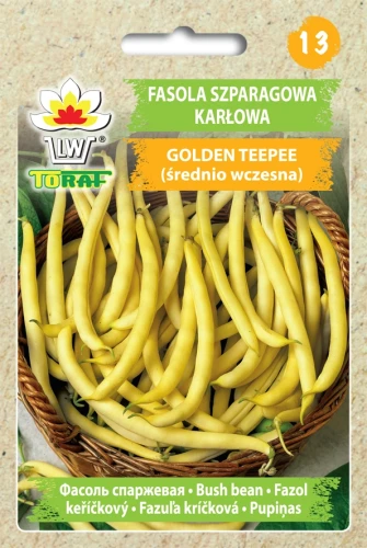 Fasola-GOLDEN-TEEPEE.webp