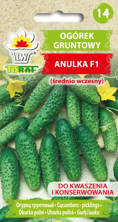 Ogórek-gruntowy-ANULKA.webp