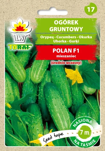 ogorek-Polan-tasma.webp