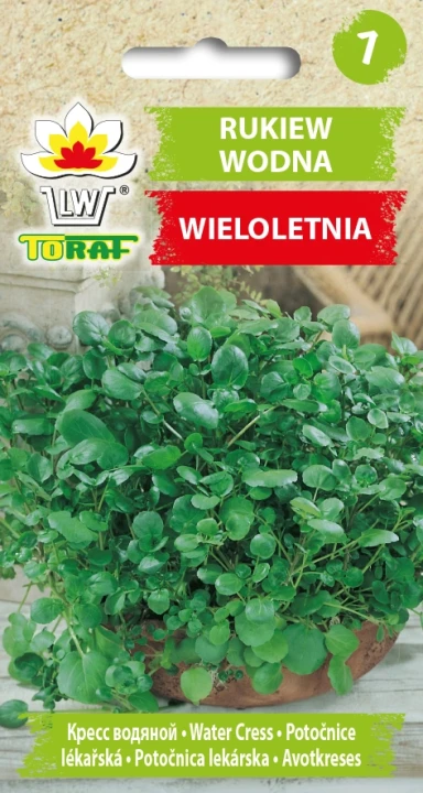 RUKIEW-WODNA.webp