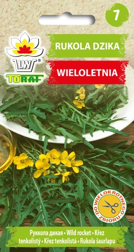 Rukola-DZIKA-WIELOLETNIA.webp