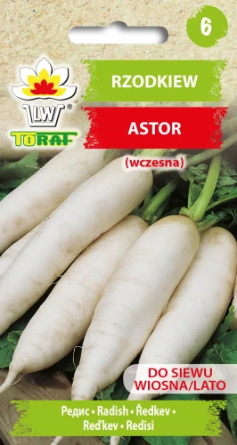 Rzodkiew-ASTOR.webp