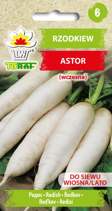 Rzodkiew-ASTOR.webp