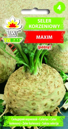 Seler-korzeniowy-MAXIM.webp