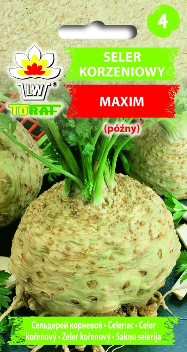 Seler-korzeniowy-MAXIM.webp