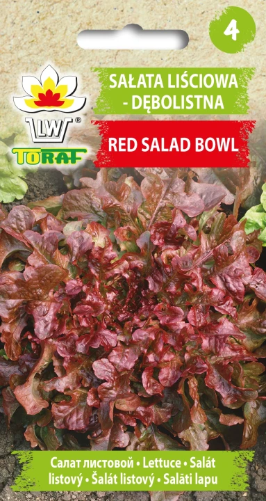 Sałata-RED-SALAD-BOWL.webp