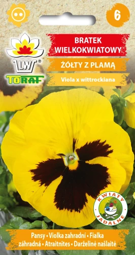 Bratek-wielkokwiatowy-ŻÓŁTY-Z-PLAMĄ.webp