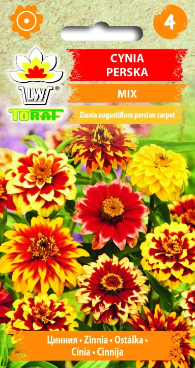 Cynia-perska-MIX.webp