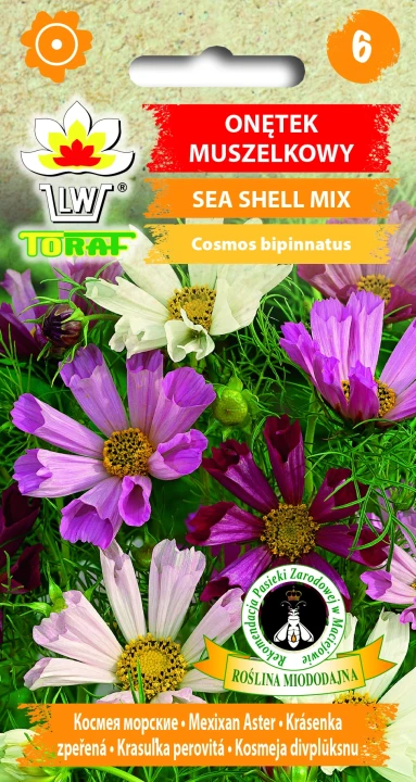 Onętek-kosmos-SEA-SHELL.webp