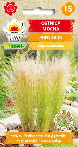 Trawa-ozdobna-OSTNICA-MOCNA-PONY-TAIL.webp