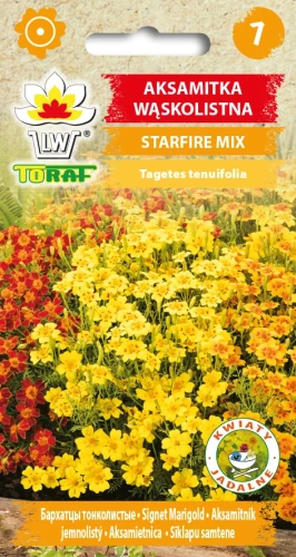 Aksamitka-wąskolistna-STARFIRE-MIX.webp