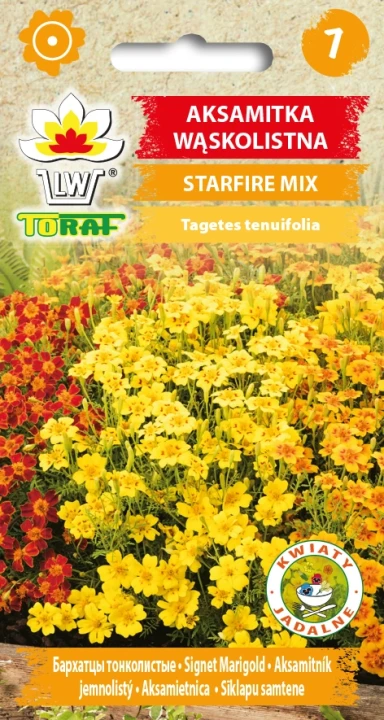 Aksamitka-wąskolistna-STARFIRE-MIX.webp
