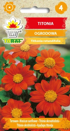 Titonia.webp