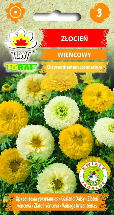 Złocień-WIEŃCOWY.webp