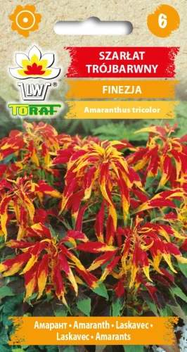 Szarłat-Trójbarwny-FINEZJA.webp