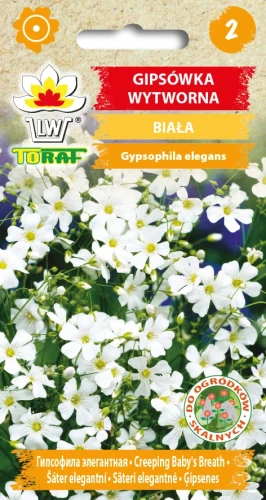 Gipsówka-WYTWORNA-BIAŁA.webp