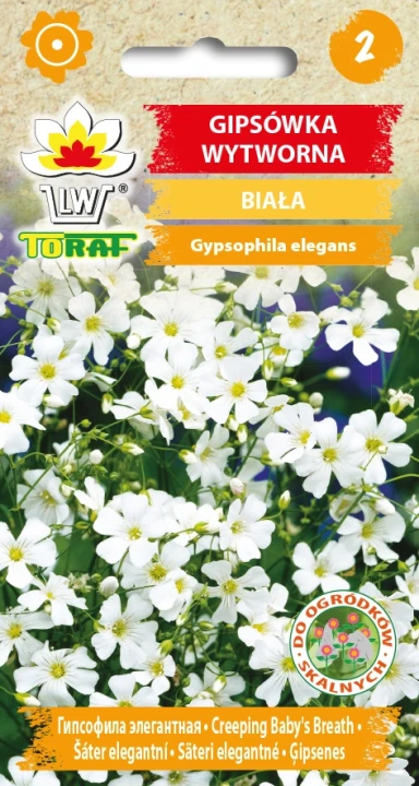 Gipsówka-WYTWORNA-BIAŁA.webp
