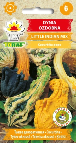 Dynia-ozdobna-LITTLE-INDIAN-MIX.webp