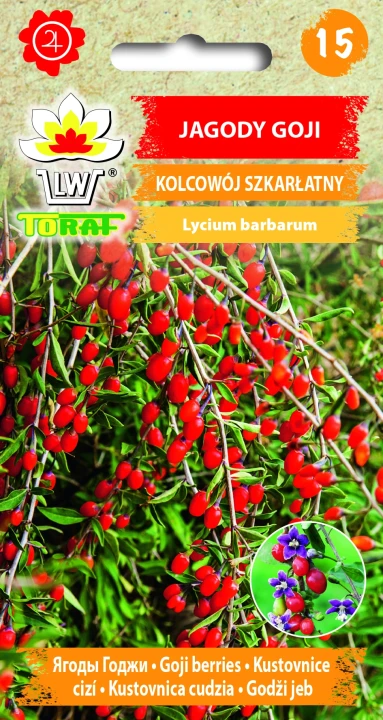 JAGODY-GOJI.webp