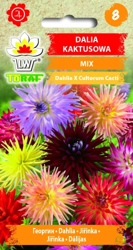 Dalia-kaktusowa-MIX.webp
