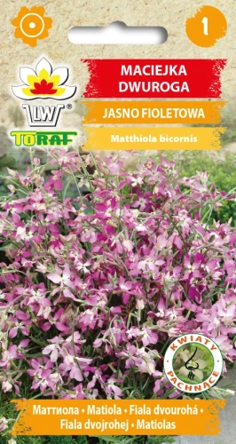 Maciejka-dwuroga.webp