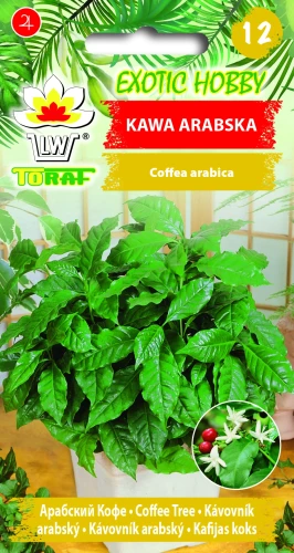Kawa-arabska.webp